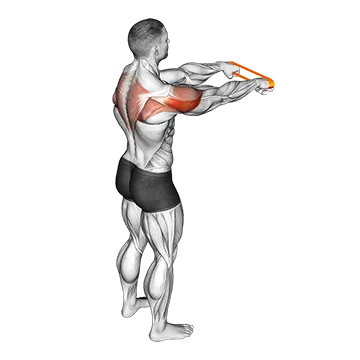 Resistance Band Rear Fly - Exclusive get you ultimate Strength for Rear Deltoids from X health blend   Animated Exercise  Library