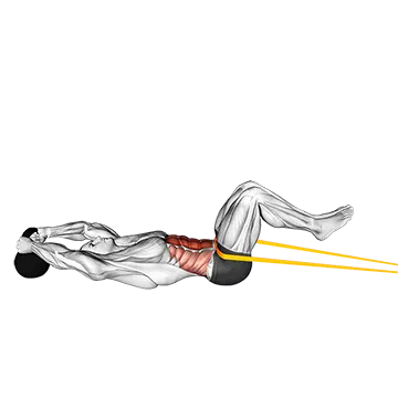 Resistance Band Reverse Crunch - Exclusive get you ultimate Strength for Rectus Abdominis from X health blend   Animated Exercise  Library
