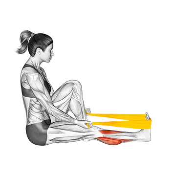 Resistance Band Seated Calf Stretch - Exclusive get you ultimate Stretching