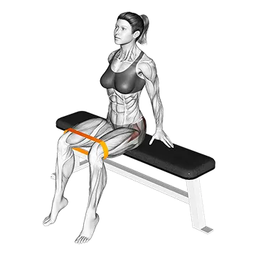 Resistance Band Seated Hip Abduction