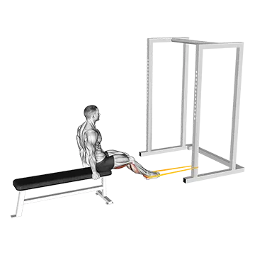 Resistance Band Seated Leg Curl - Exclusive get you ultimate Strength for Hamstrings from X health blend   Animated Exercise  Library