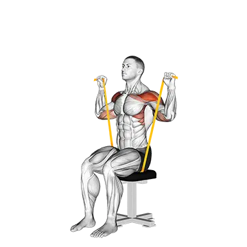 Resistance Band Seated Shoulder Press - Exclusive get you ultimate Strength for Deltoids from X health blend   Animated Exercise  Library