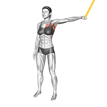 Resistance Band Shoulder Adduction - Exclusive get you ultimate Strength for Deltoids from X health blend   Animated Exercise  Library
