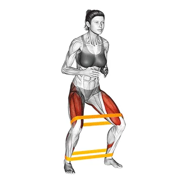 Resistance Band Side Walk - Exclusive get you ultimate Strength for Glutes from X health blend   Animated Exercise  Library
