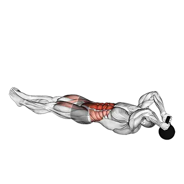 Reverse Crunch to Dead Bug - Exclusive get you ultimate Strength for Rectus Abdominis from X health blend   Animated Exercise  Library