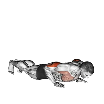 Reverse Dip - Exclusive get you ultimate Strength for Triceps from X health blend   Animated Exercise  Library