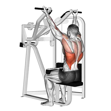 Reverse Grip Machine Lat Pulldown - Exclusive get you ultimate Strength for Latissimus Dorsi from X health blend   Animated Exercise  Library