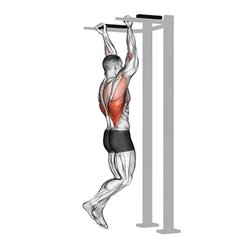 Reverse Grip Pull Up