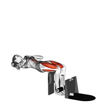 Reverse Leg Extension - Exclusive get you ultimate Strength for Hamstrings from X health blend   Animated Exercise  Library