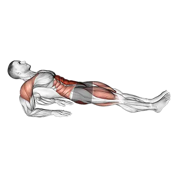 Reverse Plank