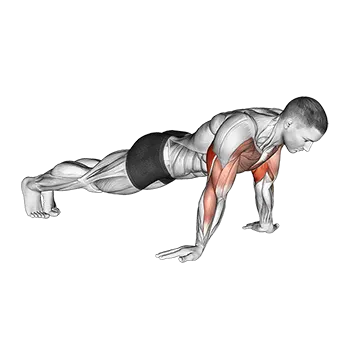 Reverse Push Up