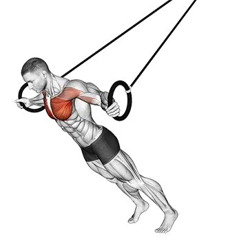Ring Chest Fly - Exclusive get you ultimate Strength for Pectoralis from X health blend   Animated Exercise  Library