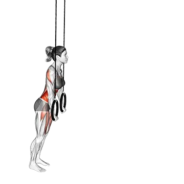Ring Rollout - Exclusive get you ultimate Strength for Rectus Abdominis from X health blend   Animated Exercise  Library