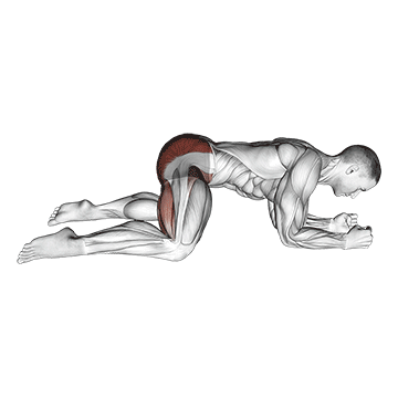 Rocking Frog Stretch - Exclusive get you ultimate Stretching for Adductors from X health blend   Animated Exercise  Library
