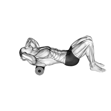 Roll Upper Back