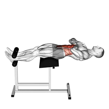 Roman Chair Sit Up - Exclusive get you ultimate Strength for Rectus Abdominis from X health blend   Animated Exercise  Library
