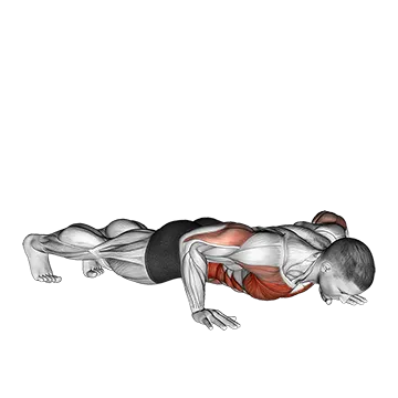 Rotational Push Up