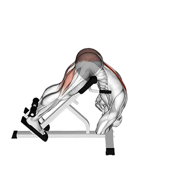 Rounded Back Extension