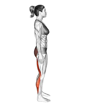 Runners Stretch - Exclusive get you ultimate Stretching for Hip Flexors