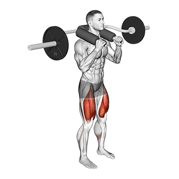 Safety Bar Front Squat