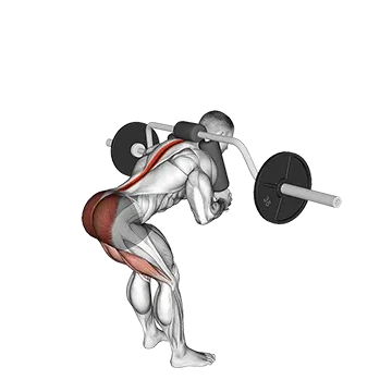 Safety Bar Good Morning - Exclusive get you ultimate Strength for Hamstrings from X health blend   Animated Exercise  Library
