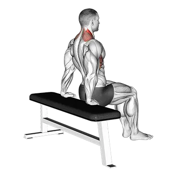 Scapula Dips - Exclusive get you ultimate Strength for Scapular Muscles from X health blend   Animated Exercise  Library