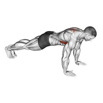 Scapula Push Up