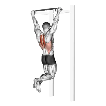 Scapular Pull Up
