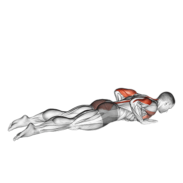 Seal Push Up - Exclusive get you ultimate Strength for Pectoralis from X health blend   Animated Exercise  Library