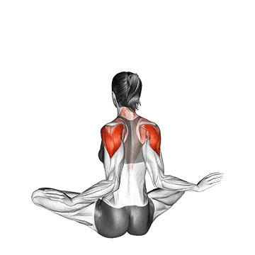 Seated Ballerina - Exclusive get you ultimate Stretching for Obliques from X health blend   Animated Exercise  Library