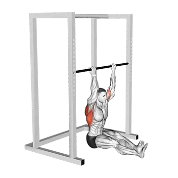 Seated Chin Up - Exclusive get you ultimate Strength for Latissimus Dorsi from X health blend   Animated Exercise  Library