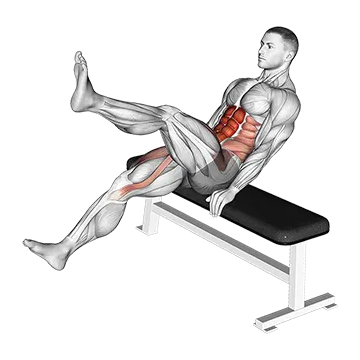 Seated Flutter Kick - Exclusive get you ultimate Strength for Rectus Abdominis from X health blend   Animated Exercise  Library