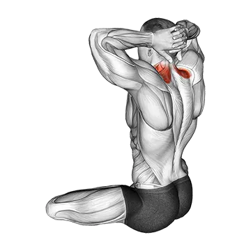 Seated Neck Stretch - Exclusive get you ultimate Stretching for Sternocleidomastoid from X health blend   Animated Exercise  Library