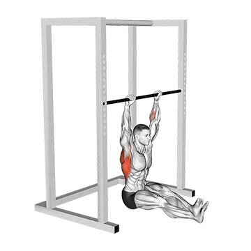 Seated Pull Up - Exclusive get you ultimate Strength for Latissimus Dorsi from X health blend   Animated Exercise  Library
