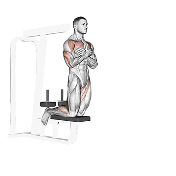 Self Assisted Inverse Leg Curl - Exclusive get you ultimate Strength for Hamstrings from X health blend   Animated Exercise  Library