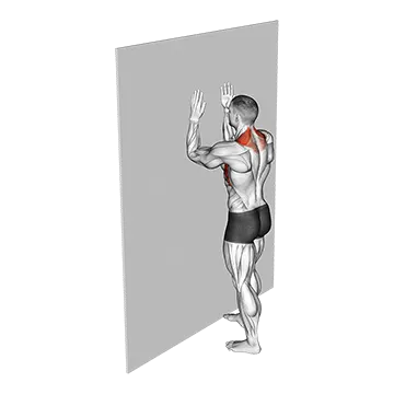 Serratus Wall Slide - Exclusive get you ultimate Strength for Serratus Anterior from X health blend   Animated Exercise  Library