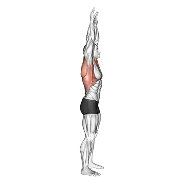Shoulder Backbend Stretch
