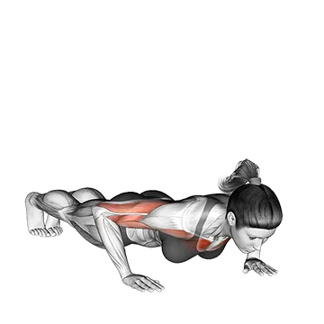 Shoulder Tap Push Up - Exclusive get you ultimate Strength for Chest