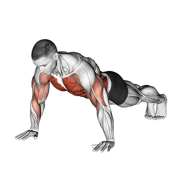 Shoulder Tap