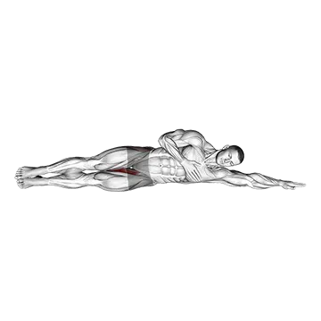 Side Lying Leg Raise