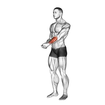 Side Wrist Pull Stretch - Exclusive get you ultimate Stretching for Forearms from X health blend   Animated Exercise  Library