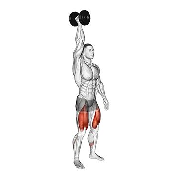 Single Arm Overhead Dumbbell Squat - Exclusive get you ultimate Strength for Quadriceps from X health blend   Animated Exercise  Library