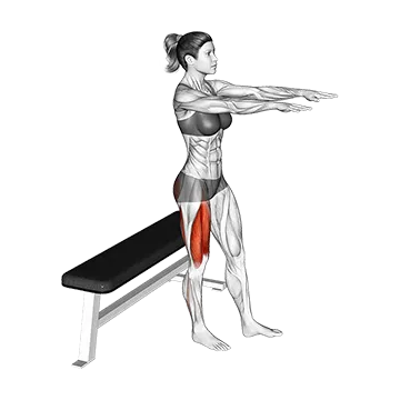Single Leg Bench Squat - Exclusive get you ultimate Strength for Quadriceps from X health blend   Animated Exercise  Library