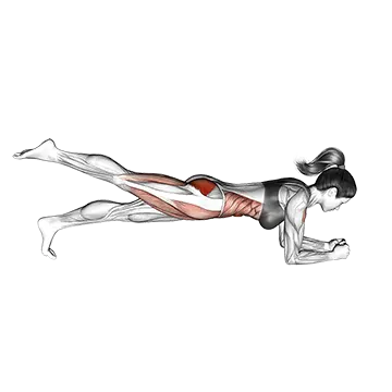 Single Leg Bridge