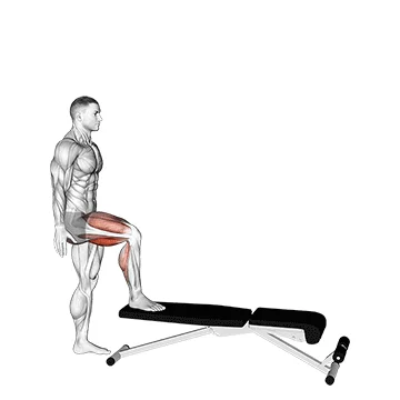 Single Leg Push Off - Exclusive get you ultimate Strength for Quadriceps from X health blend   Animated Exercise  Library