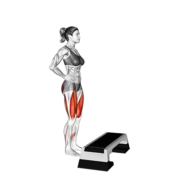 Single Leg Step Up - Exclusive get you ultimate Strength for Quadriceps from X health blend   Animated Exercise  Library