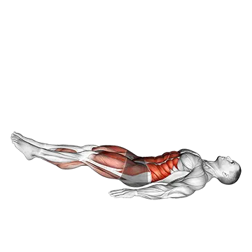 Single Straight Leg Stretch - Exclusive get you ultimate Stretching for Hamstrings from X health blend   Animated Exercise  Library