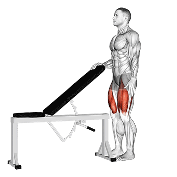 Sissy Squat Bodyweight