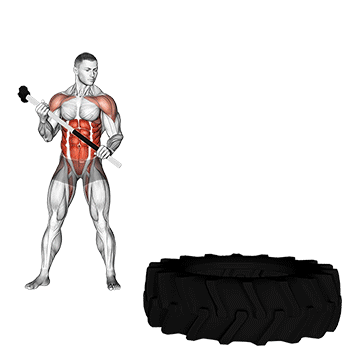 Sledge Hammer - Exclusive get you ultimate Strength for Abdominals from X health blend   Animated Exercise  Library