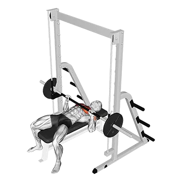 Smith Bench Press - Exclusive get you ultimate Strength for Pectoralis from X health blend   Animated Exercise  Library